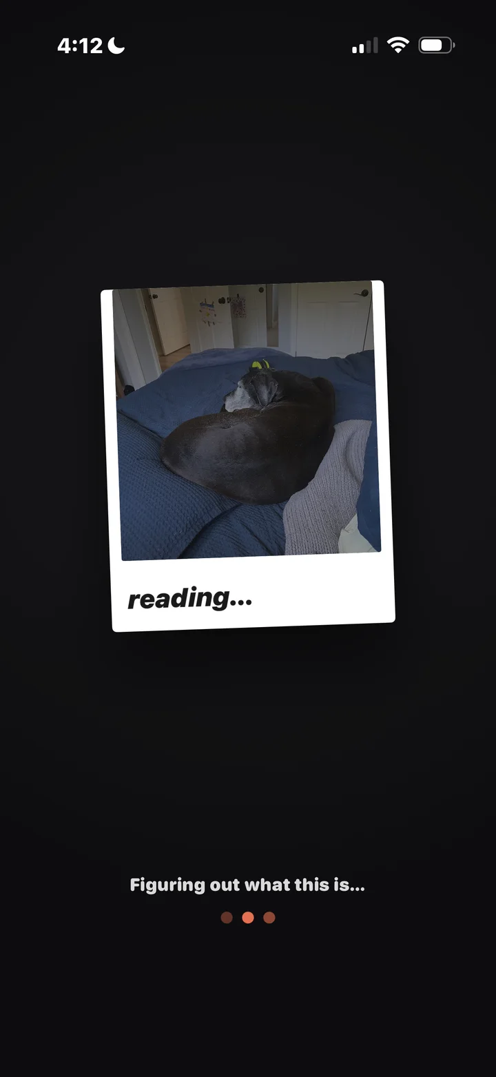 snapThat reading state screenshot