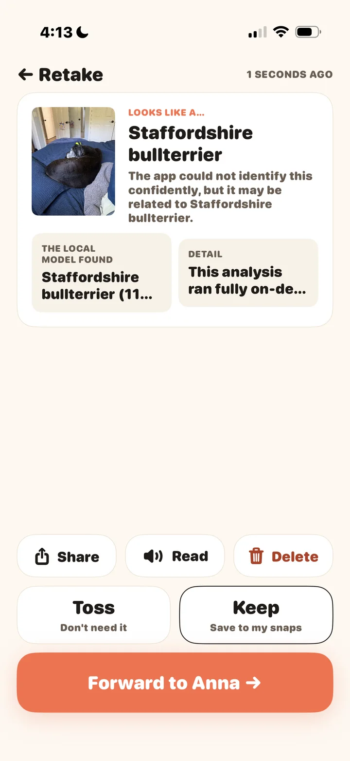 snapThat result analysis screenshot